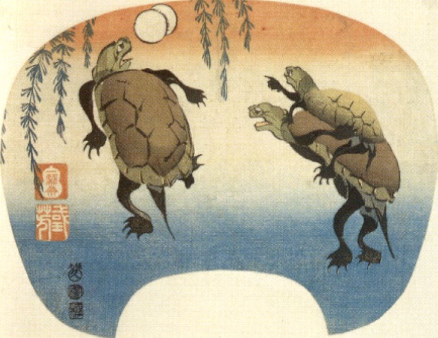 Kuniyoshi - (fan) Turtles Playing Kickball (Kame no kemari), c